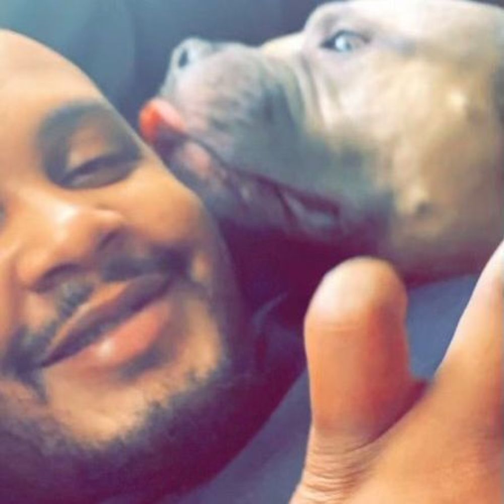 Meet your Posher, Marquise